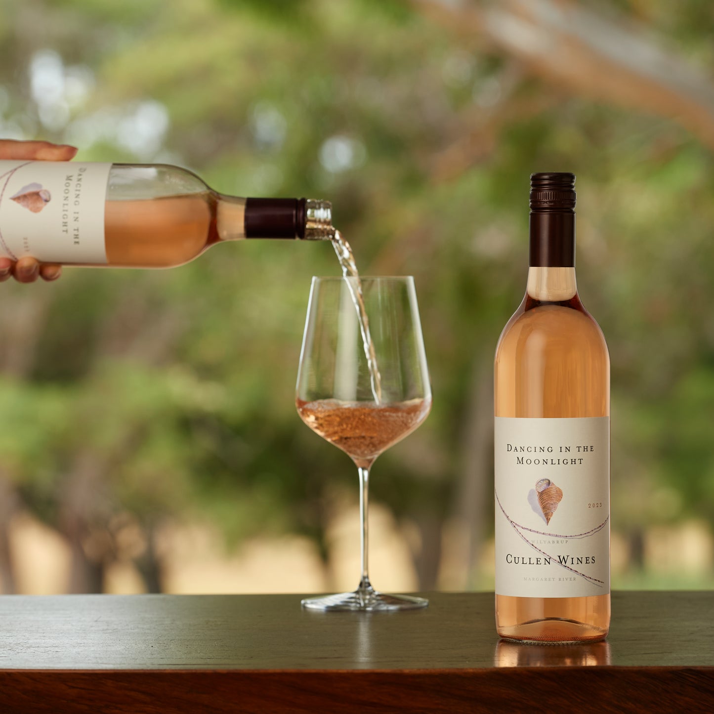 2024 Dancing in the Moonlight Rose