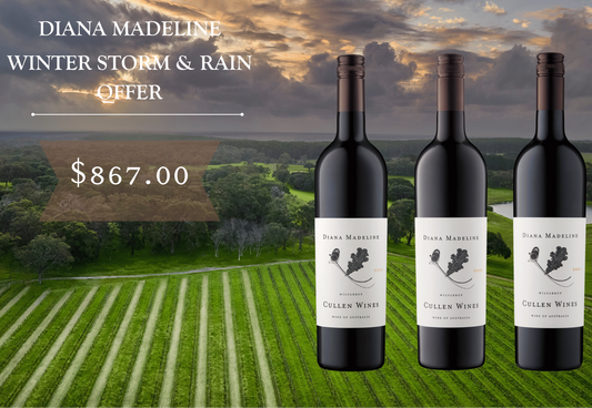 Diana Madeline Winter Storm & Rain Offer!